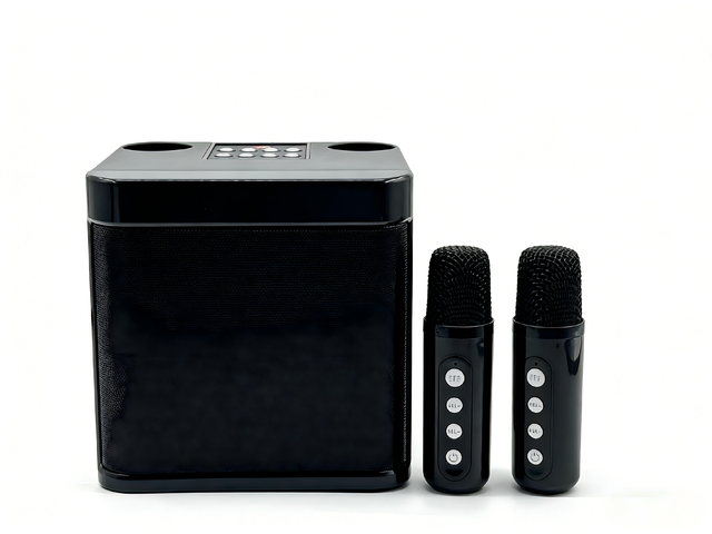 Portable Metal Wireless Speaker Dual Wireless Microphones Aux AC for 5.3 USB RGB LED 3-5 Hours Playtime for Home