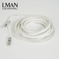 Bande LED néon synchronisée avec la musique, 5 m, puces LED SMD3939, contrôle par application, étanche, multicolore, à intensité variable, décoration intérieure
