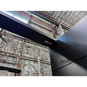 Hiện đại gang pivot cửa cho nhà rèn sắt lối vào chính an ninh thiết kế cửa với mềm đóng cửa hệ thống - Product Image 4