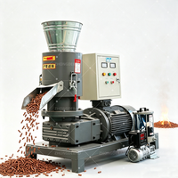 Machine à granulés de bois à matrice plate pour le recyclage du bois usagé, granulateur de sciure de bois durable pour la production de granulés de biomasse de 6 mm