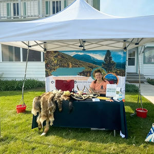 Carpa impermeable para exteriores, plegable, de 10x10, personalizada, fácil de montar, para eventos, gazebo, carpa para ferias comerciales. - Product Image 5