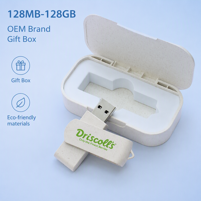 Custom Logo USB Flash Drive 64GB OEM Promotional USB Stick Corporate Gift Wholesale Custom USB Memory Bulk Factory Direct