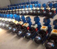 Nouvelle machine à granulés d'aliments pour animaux de type portable, à haute production, pour le bétail et la volaille