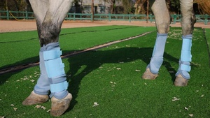 מגפי רכיבה על סוסים בהתאמה אישית מגפי רכיבה על סוסים רשת מגפי רכיבה על סוסים סוסים בעיצוב החדש ביותר - Product Image 2