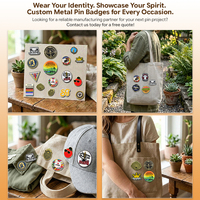Leverancier van metalen pins zonder minimum bestelling, glitter broche, anime hard enamel pin, zachte reversbadge, op maat gemaakte enamel pin fabrikant