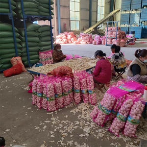 Ail frais chinois 4 KG Emballage en sac en filet Exportation vers Dubaï Taille 5cm 5.5cm <span class=keywords><strong>Prix</strong></span> bas Ail frais pur blanc - Product Image 3