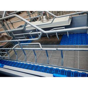 Offerta Speciale: Gabbie per Parto Suini, Attrezzature per Allevamento Suini, Box e Letti per Suini - Product Image 2
