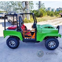 Caiteng Buggy Automatique 200cc/250cc/300cc/350cc 4x4 Électrique/à Essence Mini Jeep Sport Tout-Terrain Homologué pour la Route