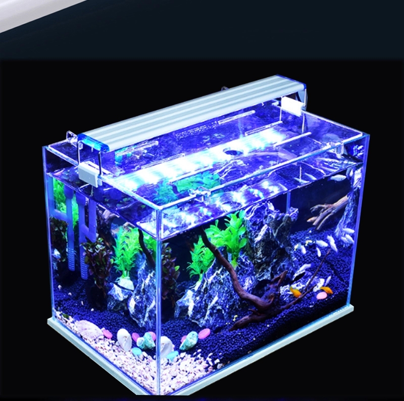 Ánh Sáng Hồ Cá Biển Led Coral Reef Marine, Nhà Máy Aquarium Led Chiếu Sáng Đầy Đủ Quang Phổ, Đèn Led Aquarium Cho Coral Tank