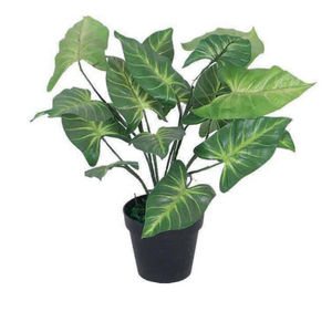 Linwoo Fake Plants Uv-Anti Artificial Potted Decorative Artificial Small Bonsai Potted Plants For Backdrop