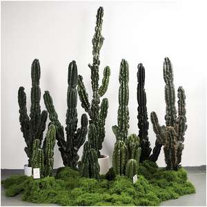 Plantes artificielles : Cactus à tiges simples suspendues, autres plantes décoratives, vente en gros, photographie de plafonds, plantes artificielles de type cactus - Product Image 1