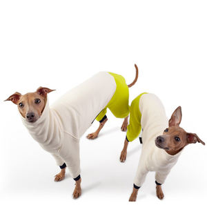Distribuidor de <span class=keywords><strong>ropa</strong></span> para mascotas, venta al por mayor, mono de cuatro patas, <span class=keywords><strong>ropa</strong></span> italiana de <span class=keywords><strong>galgo</strong></span> - Product Image 6