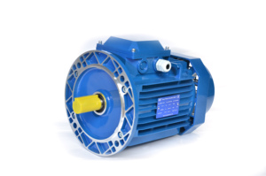 Y315S-6 75KW 100HP 380V 400V 1000RPM Motor de Inducción Trifásico de CA, Proveedor de Motores Asíncronos, Fabricante - Product Image 2