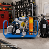 Compresseur d'air respirable TDR-H-W 330 bar Monophasé Arrêt automatique Purge automatique 140 L/min Portable SCBA Lutte contre l'incendie Plongée sous-marine