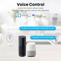 Grossiste Tuya 16A Mini interrupteur intelligent 2 voies de contrôle sans fil Zigbee Light Breaker DIY Module de relais pour Alexa Google