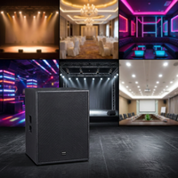 Subwoofer passif Thinuna T-15B II simple 15 pouces, 800W AES 8Ω, aimant en ferrite, bobine vocale de 4,5 pouces, haut-parleur de basses professionnel pour scène