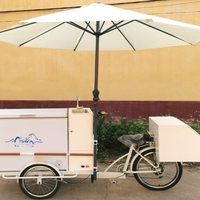 Camión de Comida Gourmet Personalizado con Empuje Manual, Carrito de Helados, Sombrilla, Fábrica de Snacks, Planta Procesadora de Vegetales, Bodega, Comercio Minorista, Carbono