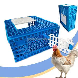 ZB/LMC-02 3 Door Chick Pigeon Duck Qoail Broiler Plastic Live Poultry Chicken Transport Crates