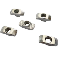 Série standard européenne 20 30 40 45 Écrou en T en acier au carbone galvanisé M8 pour profilés aluminium, applications santé et traitement de l'eau, personnalisable