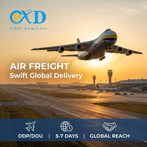Agente <span class=keywords><strong>de</strong></span> Logística <span class=keywords><strong>de</strong></span> Carga Aérea Profesional desde el <span class=keywords><strong>Aeropuerto</strong></span> <span class=keywords><strong>de</strong></span> China a Destinos Mundiales para Carga a Granel y Muestras - Product Image 1