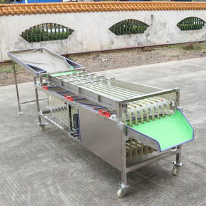 Machine de classification de manioc de nectarine de waxberry en acier inoxydable de haute qualité équipement de tri de dates de petits fruits moyens - Product Image 5
