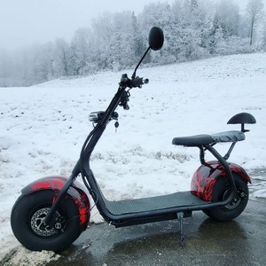 Scooter Eléctrico Nuevo de 2 Ruedas Citycoco, Bicicleta Eléctrica Australia, Scooter Eléctrico para Adultos con Neumáticos Anchos - Product Image 1