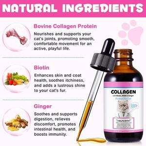 Collagène liquide <span class=keywords><strong>pour</strong></span> animaux de compagnie, OEM, renforce l'immunité, gouttes de <span class=keywords><strong>biotine</strong></span>, complément de collagène <span class=keywords><strong>pour</strong></span> chats - Product Image 2