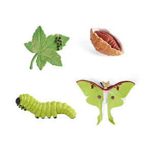 Zhiqu Mini juego de juguetes de animales de plástico mariposa tortuga Rana pollo mariquita ciclo de vida figuras Montessori - Product Image 2