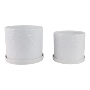 Vasi decorativi con design a conchiglia e sottovasi per piante da interno ed esterno, succulente ed erbe aromatiche, eleganti - Product Image 1