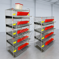 Nouvelle cage automatique à cailles à plusieurs niveaux en acier galvanisé avec mangeoire et abreuvoir pour élevage de cailles