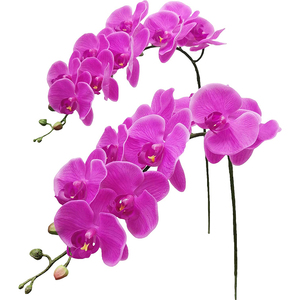 Longue durée 9 têtes Phalaenopsis UV protégé Latex <span class=keywords><strong>fleurs</strong></span> vraie touche artificielle balcon Rail <span class=keywords><strong>d</strong></span>écor Faux forme retenue - Product Image 2