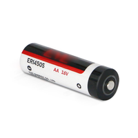 Batterie au lithium chlorure de thionyle ER14505 3,6 V 2700 mAh avec fils et connecteurs pour compteur intelligent, PLC, encodeur servo