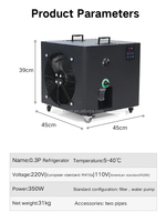 Refroidisseur d'eau pour la récupération par immersion froide, système de refroidissement d'eau, bain de glace, refroidisseur et filtre 1/2 HP