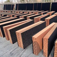 Panneau de refroidissement en nid d'abeille en papier kraft pour augmenter l'efficacité de la production dans les élevages – En promotion