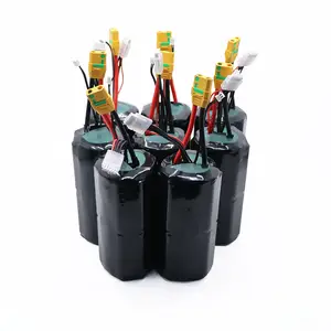 Aangepaste 4s1p 4s2p 4s3p 4s6p 3.7V 7.4V 14.8V 18650 Li Ion Batterij Lithium Ion Batterij Pack Met bms