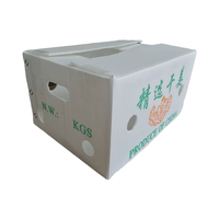 Usine rentable meilleur prix mangue maïs emballage Coroplast Corflute boîte ondulée PP creux en plastique fruits légumes boîte