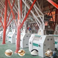 Machines de Meunerie de Farine de Blé de 120 Tonnes avec Prix, Moulin à Aliments Complet, Broyeur Sec et Humide, Ligne de Production de Maïs, de Grains et de Riz