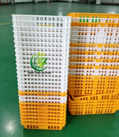 Cage de transport en plastique de haute qualité pour volailles et bétail, idéale pour canards, lapins, oies, cailles, poulets de chair et poules pondeuses – Cages de rotation longues