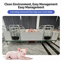 Cage de mise bas pour truies, enclos de maternité pour porcs, équipement d'élevage porcin galvanisé à chaud