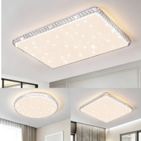 Exquis rond belle fille chambre coquille forme chambre acrylique plafonnier art lumineux fleurs salon LED plafonnier