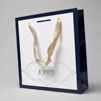 Sac cadeau en papier de luxe sur mesure avec logo personnalisé, écologique, recyclable, portable, avec poignée en ruban pour l'emballage des produits de soin de la peau, tout-en-un