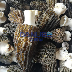 เครื่องอบแห้งเห็ดอบแห้งในห้องอบเห็ดอุปกรณ์เตาอบ - Product Image 2