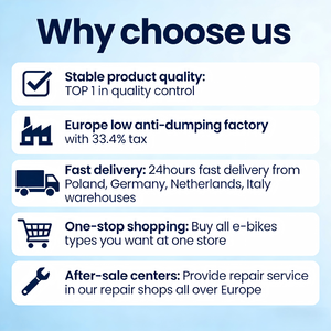 Vélo Électrique à Pédalage Assisté 500W NL Warehouse Mountain City, Fatbike à Pneus Larges de 20 Pouces, Vente en Gros et Dropshipping - Product Image 6