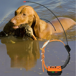 Venta al por mayor 4G GPS Collar de perro y modos de entrenamiento Seguimiento en tiempo real Geo Valla para perros de caza al aire libre - Product Image 1