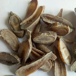 Wen Yu Jin, herbe médicinale traditionnelle chinoise, racine de <span class=keywords><strong>curcuma</strong></span> séchée, en vente - Product Image 3