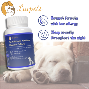 Comprimés à croquer anti-anxiété et induisant le sommeil pour chats et chiens Pet Melatonin Health Care & Supplement Snacks - Product Image 3