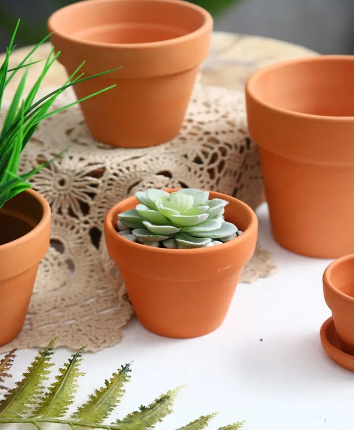 Mini Grosir Terakota Sukulen Mini Pot Tanah Liat Mini Pot Bunga Pekebun Meja untuk Tampilan Sukulen Dalam Ruangan Luar Ruangan Digunakan