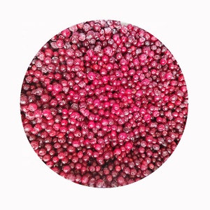 Vente en gros fournisseur export prix IQF fruits surgelés canneberge nature comestible Sd emballage en vrac canneberge décor chine 10 Kg 1 tonnes - Product Image 1