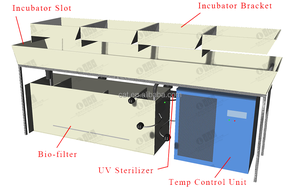 อุปกรณ์เพาะเลี้ยงปลาแบบเตียง PP ยี่ห้อ CATAQUA เป็นมิตรกับสิ่งแวดล้อม สำหรับฟักไข่<span class=keywords><strong>ปลา</strong></span>  อุปกรณ์ฟัก<span class=keywords><strong>ไข่</strong></span>ปลาคาร์ฟ  อุปกรณ์ฟัก<span class=keywords><strong>ไข่</strong></span>ปลาขนาดเล็ก ระบบ RAS แบบมินิ - Product Image 6