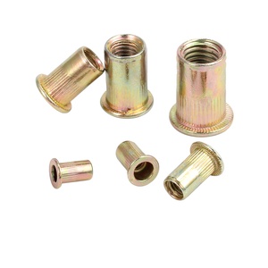 Rivnut <strong>Inserts</strong> Nutsert Flat Head <strong>Rivet</strong> <strong>Nut</strong> Stainless Steel Aluminium M3 M12 M8 M10 Knurled Closed Pop <strong>Rivet</strong> <strong>Nut</strong> - Product Image 5